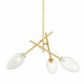 Hudson Valley Alberton Chandelier 5031-AGB